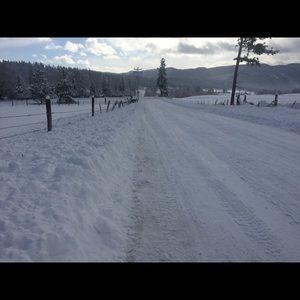 Meet your Posher, Bailey